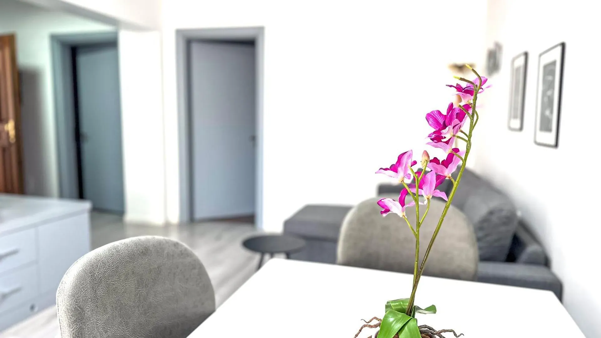 City Center 2Br Apartment Tirana